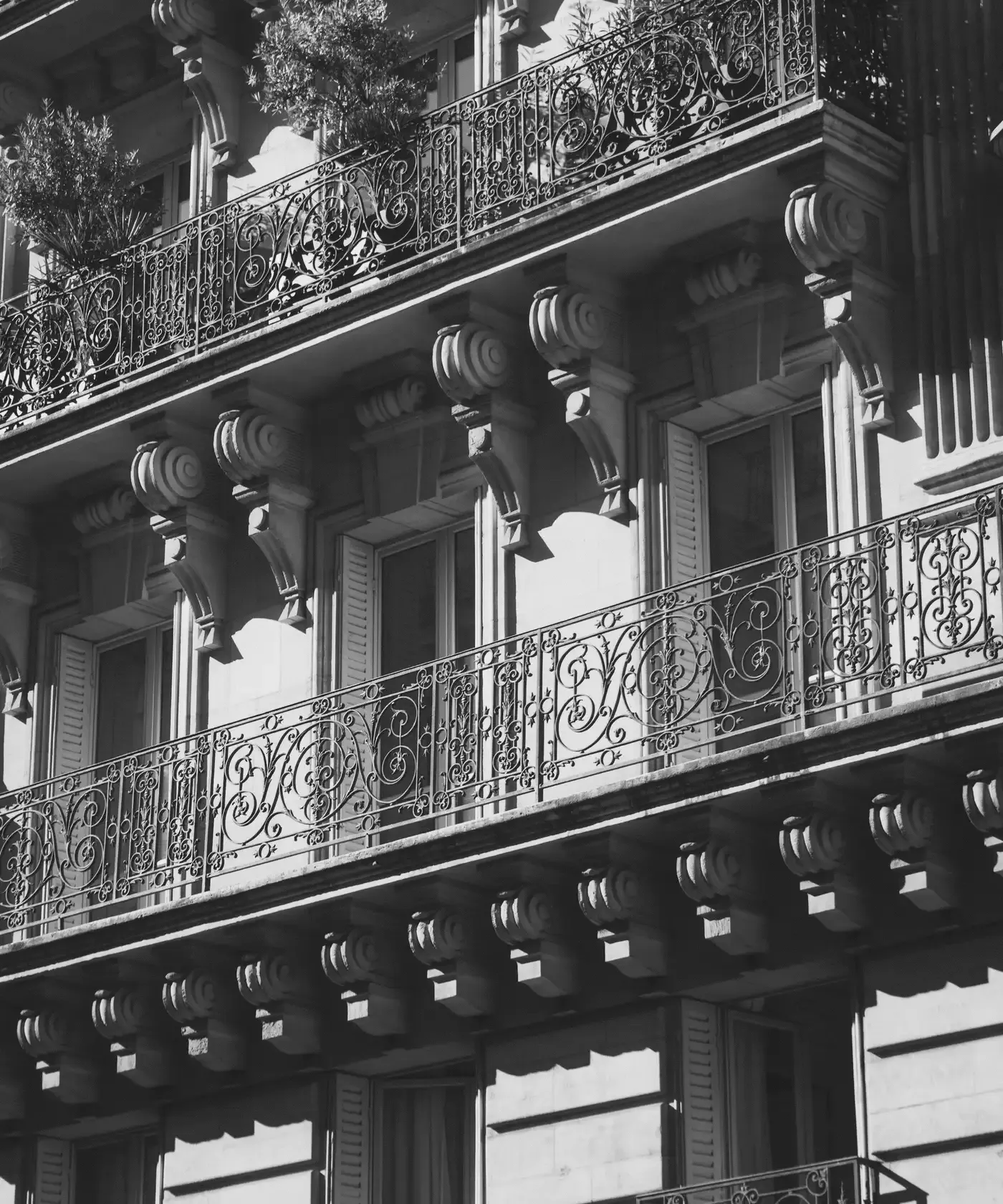 Balcons en fer forgé et consoles de pierre d'un immeuble haussmannien à Paris